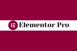 Elementor Pro
